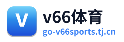 v66体育